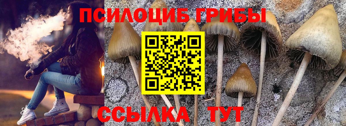 Зеленогорск  Псилоцибиновые грибы мицелий  Псилоцибиновые грибы MAGIC MUSHROOMS  Вход с VPN 